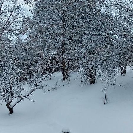 Joli Studio Sympa Saint-Jean-Saint-Nicolas エクステリア 写真