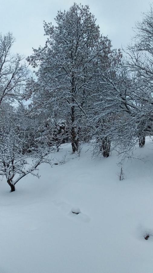 Joli Studio Sympa Saint-Jean-Saint-Nicolas エクステリア 写真